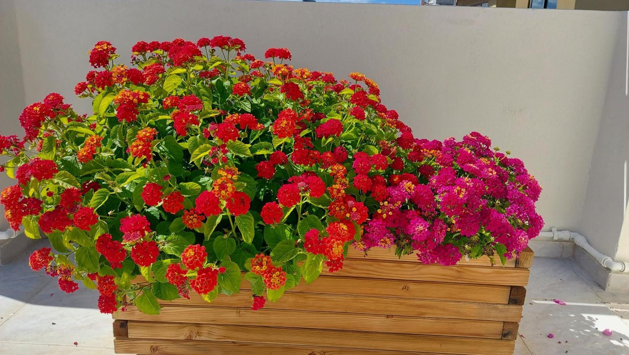 The Little Big Apartment In The Heart Of Heraklion Luaran gambar